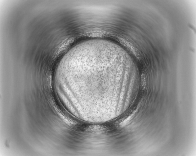 X0000093450589200711021115