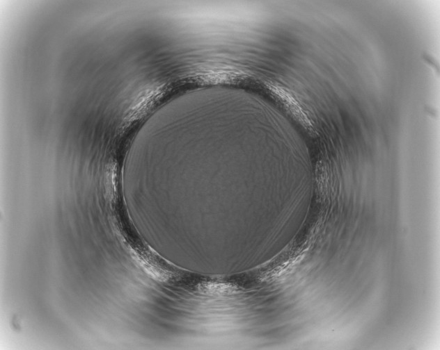 X0000093450590200711021115