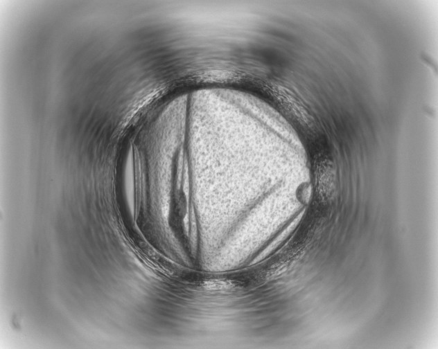 X0000093450591200711021115