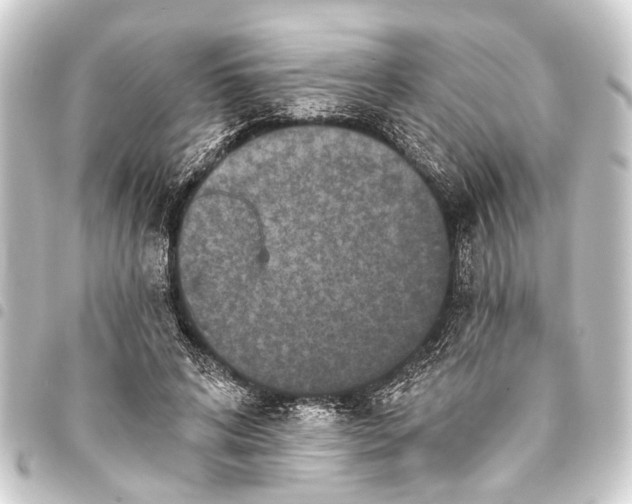 X0000093450592200711021115