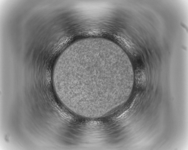 X0000093450593200711021115