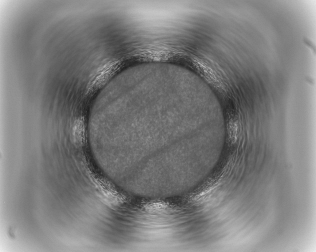 X0000093450594200711021115