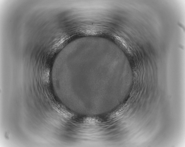 X0000093450596200711021115