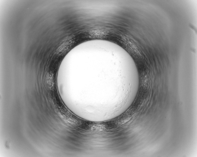 X0000093450599200711021115