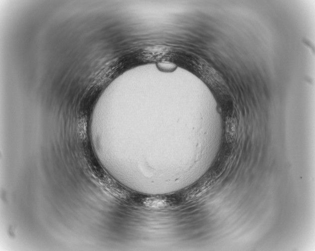 X0000093450602200711021115