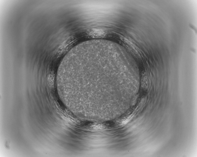 X0000093450604200711021115