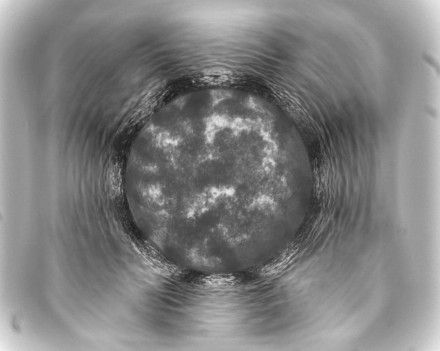 X0000093450606200711021115