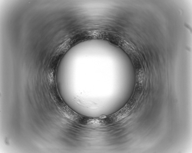 X0000093450611200711021115