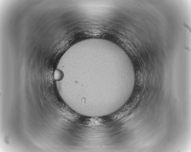 X0000093450612200711021115