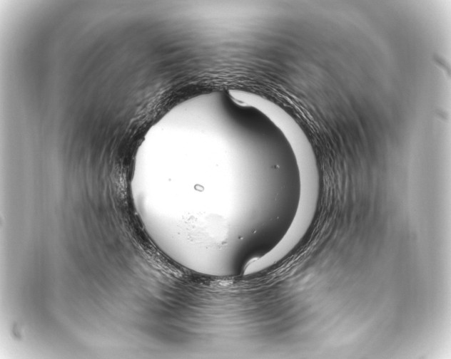 X0000093450613200711021115