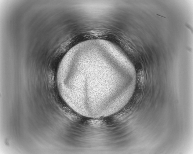 X0000093450615200711021115