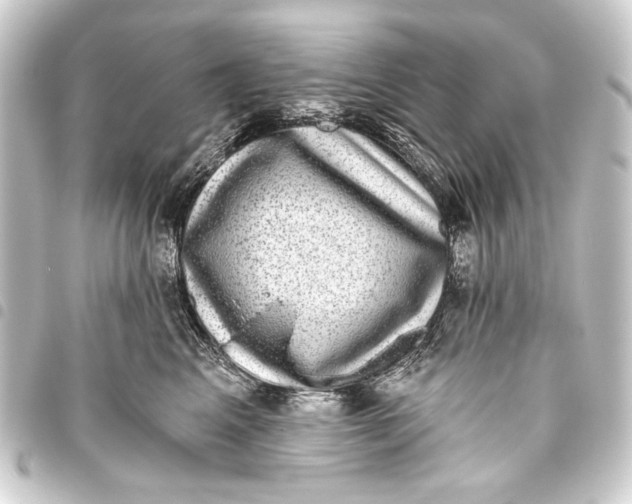 X0000093450617200711021115