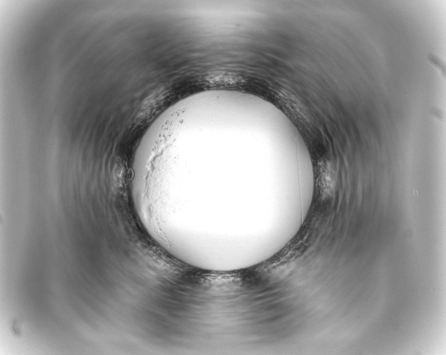 X0000093450619200711021115