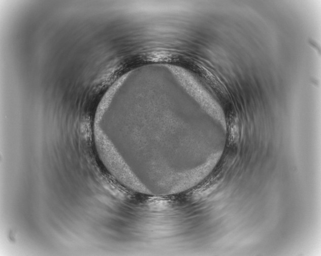 X0000093450620200711021115