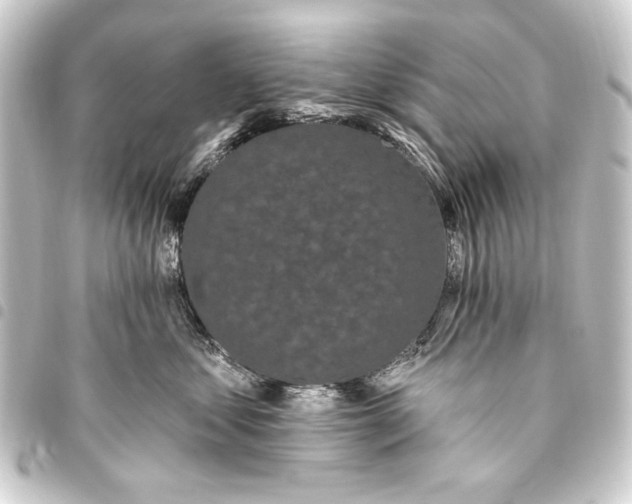 X0000093450621200711021115