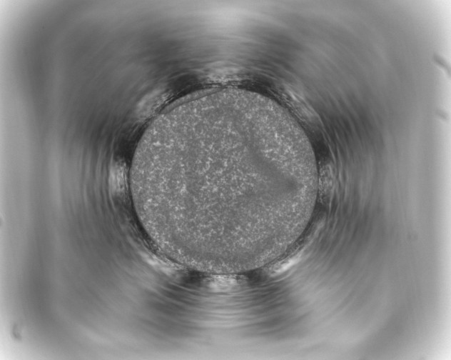 X0000093450623200711021115