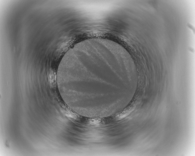 X0000093450624200711021115