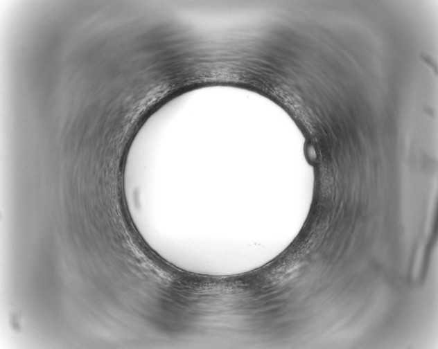 X0000093450625200711021114