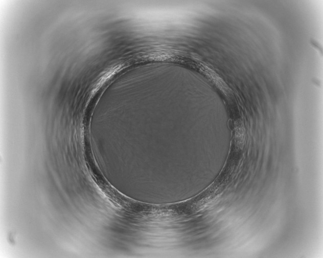 X0000093450626200711021114