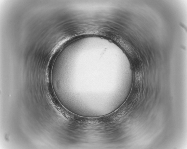 X0000093450628200711021115