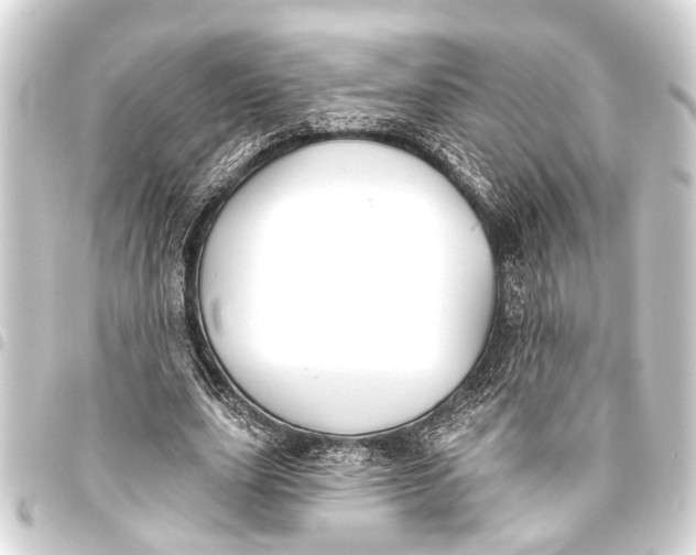 X0000093450631200711021115