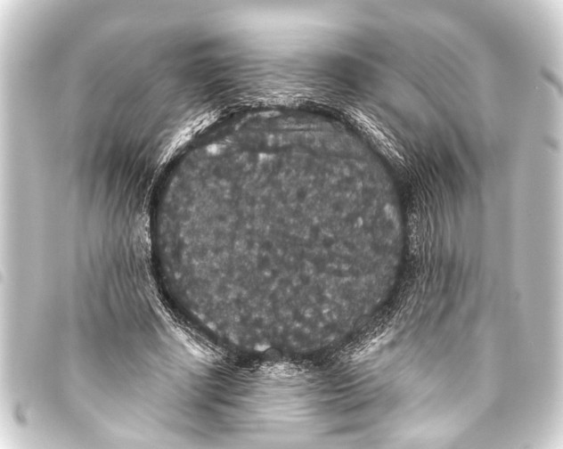 X0000093450634200711021115