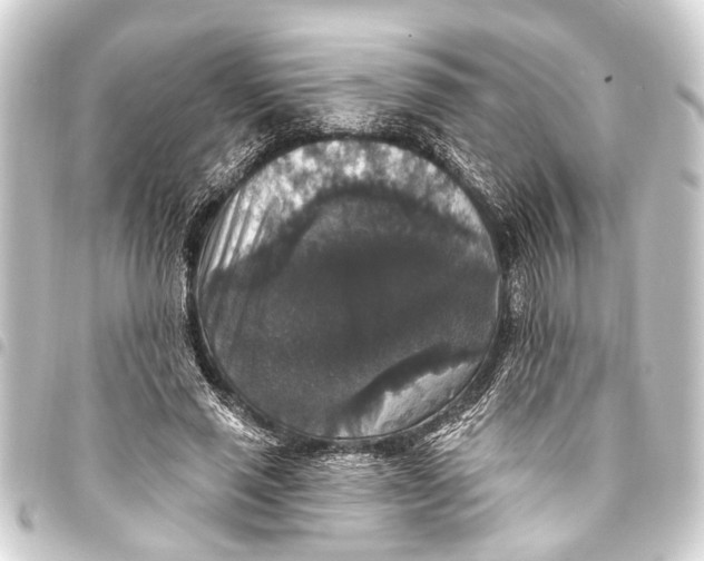 X0000093450637200711021115