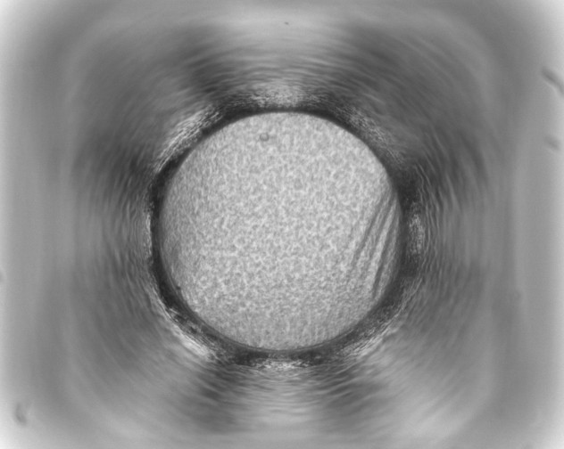 X0000093450638200711021115