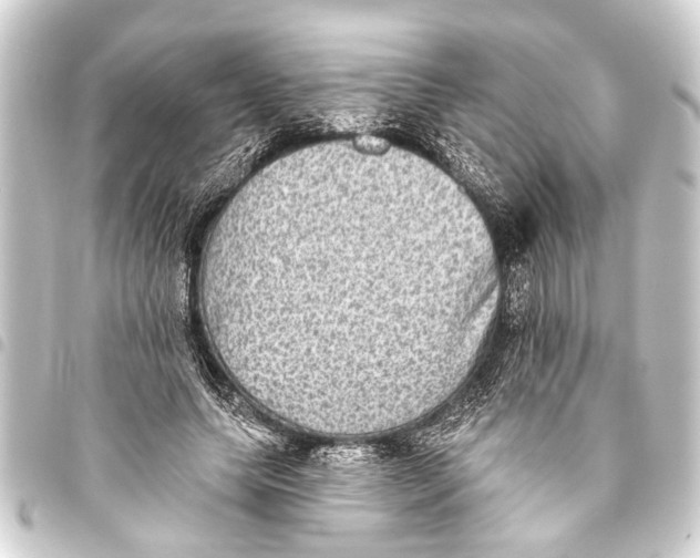 X0000093450639200711021115