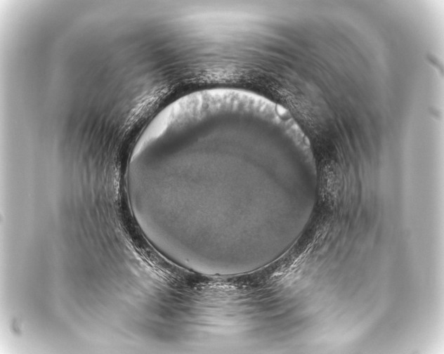 X0000093450640200711021115