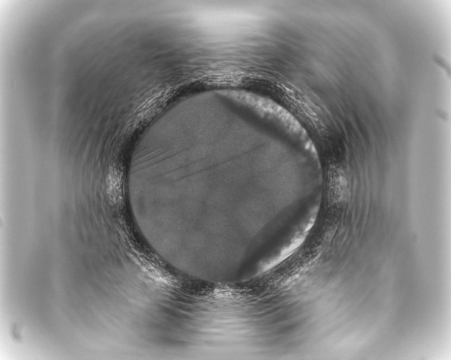 X0000093450641200711021115