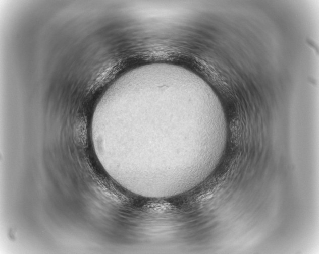 X0000093450642200711021115