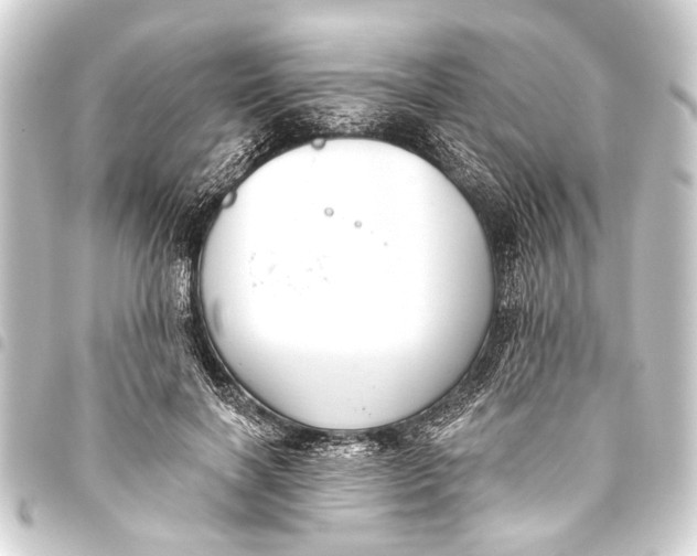 X0000093450646200711021115