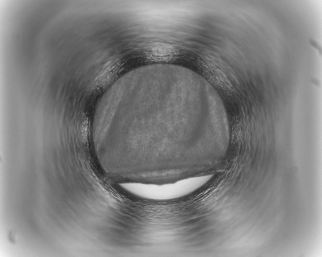 X0000093450647200711021115