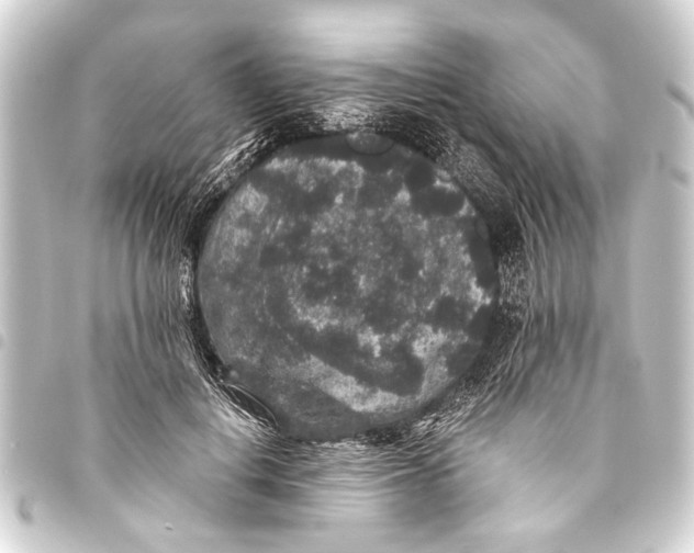 X0000093450648200711021115