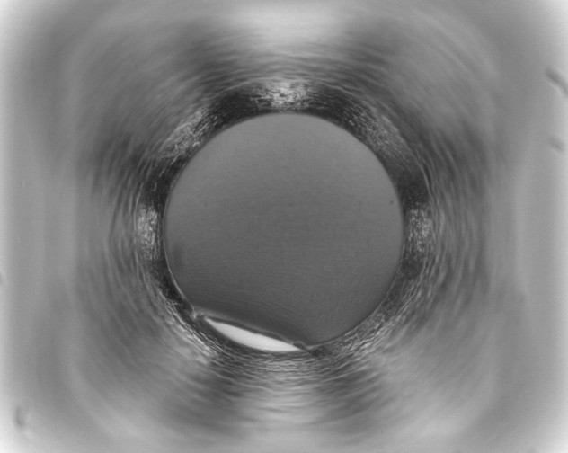 X0000093450650200711021115