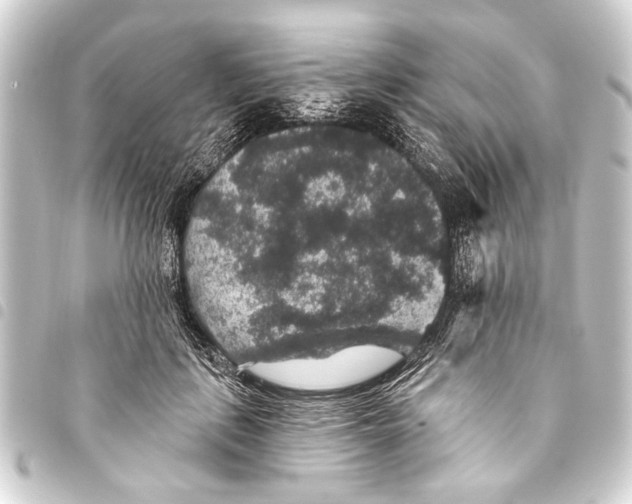 X0000093450651200711021115