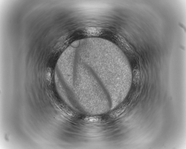 X0000093450655200711021115