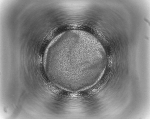 X0000093450657200711021115