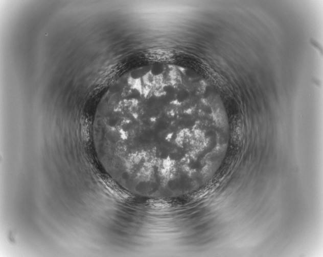 X0000093450658200711021115