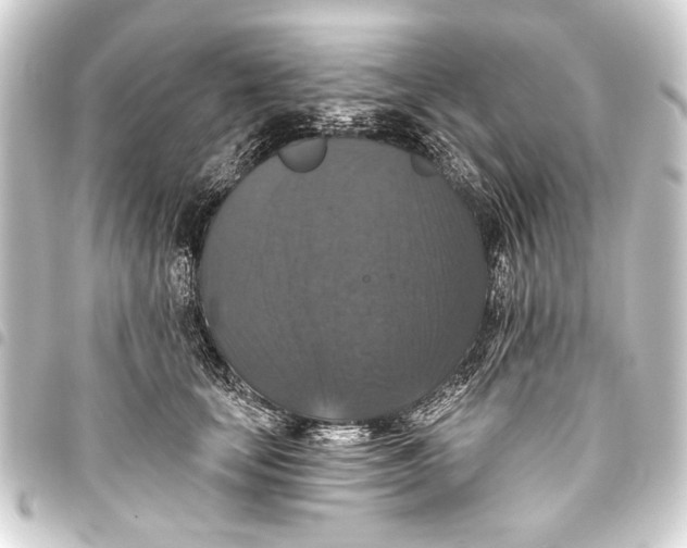 X0000093450659200711021115