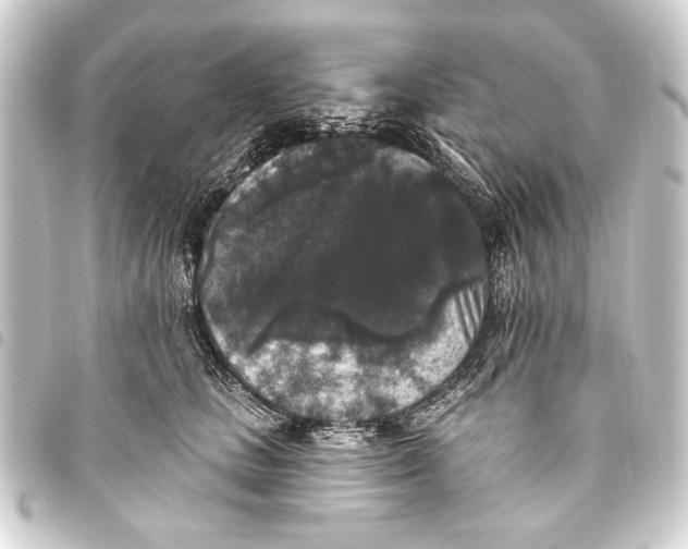 X0000093450661200711021115