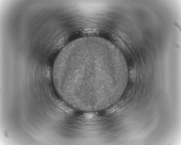 X0000093450662200711021115