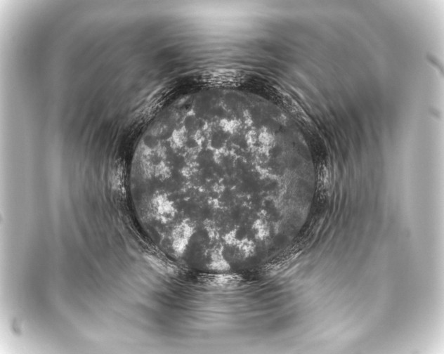 X0000093450663200711021115