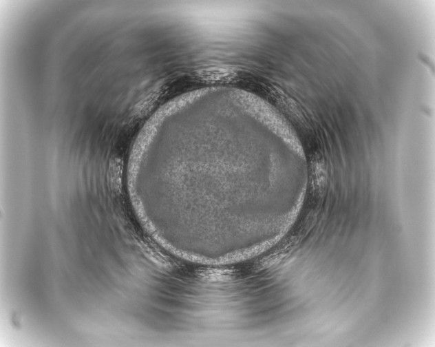 X0000093450664200711021115