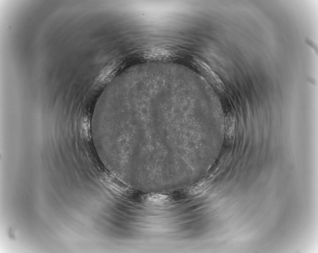 X0000093450669200711021115