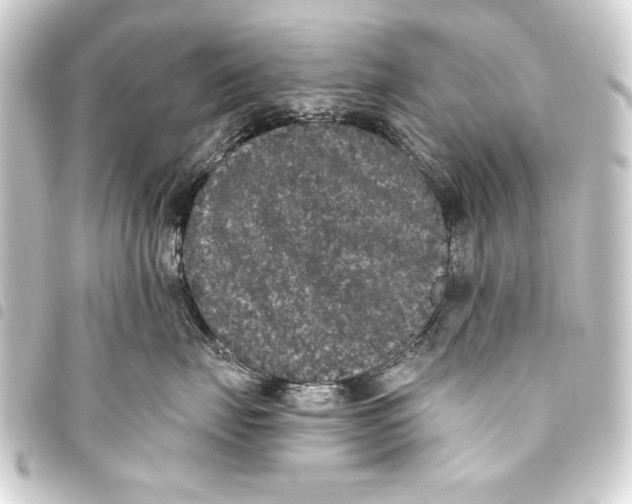 X0000093450671200711021115