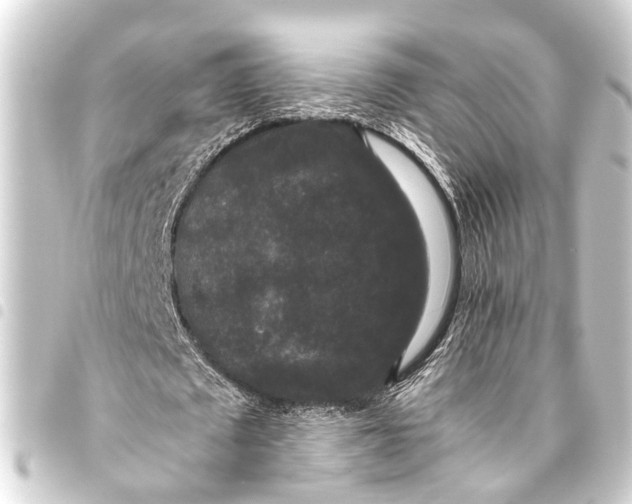 X0000093450673200711021114