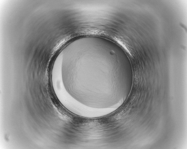 X0000093450674200711021114