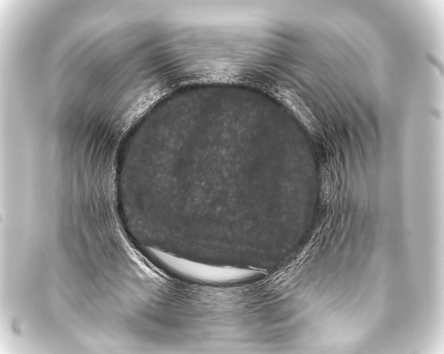 X0000093450677200711021114